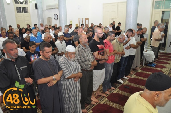 tarawee7 salah nozha (9).JPG